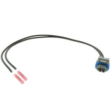 Load image into Gallery viewer, RIFE 2 pin Delphi Metri-Pack IAT Sensor Connector Kit w/ flying leads (52-2PinFL-IAT)-RIFE-Motion Raceworks