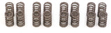 Toda Racing 3SG (SXE10) Up Rated Valve Springs