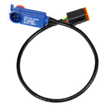 Load image into Gallery viewer, RIFE RacePak Integration Cable-RIFE-Motion Raceworks