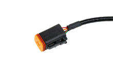 Load image into Gallery viewer, RIFE 6 Wire Harness for Dual/Triple/Quad Pressure Sensors-RIFE-Motion Raceworks