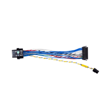 Load image into Gallery viewer, FuelTech FT350 to FT450 Adapter Harness