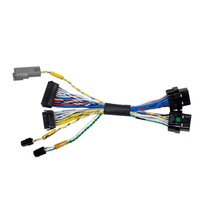 Load image into Gallery viewer, FuelTech FT400 to FT550 Adapter Harness