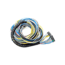 Load image into Gallery viewer, FuelTech FT500 Unterminated Harness