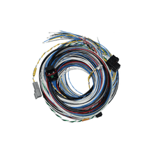 Load image into Gallery viewer, FuelTech FT550 Unterminated Harness