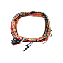 Load image into Gallery viewer, FuelTech FTSPARK-1 Harness