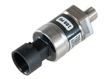 Load image into Gallery viewer, RIFE Sensors EFI Naturally Aspirated Sensor Starter Pack-RIFE-Motion Raceworks