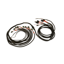 Load image into Gallery viewer, FuelTech PRO550/600 V8 Smart Coil Harness