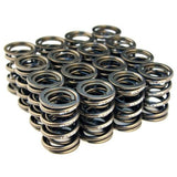 Blox Valve Springs - H-Series DOHC VTEC