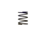 Gen 4/IWG WG38/40/45/50L 7PSI MIDDLE SPRING – BROWN/PURPLE