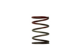 Gen 4/IWG WG38/40/45/50L 11PSI MIDDLE SPRING – BROWN/RED