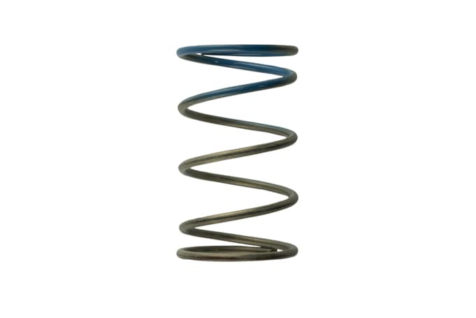 Gen 4/IWG WG38/40/45/50L 10PSI OUTER SPRING – BROWN/BLUE