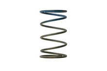 Load image into Gallery viewer, Gen 4/IWG WG38/40/45/50L 10PSI OUTER SPRING – BROWN/BLUE