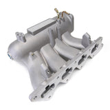 Skunk2 Evo VIII-IX Pro Series Intake Manifold